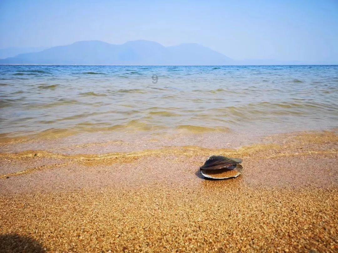 逃离沙地